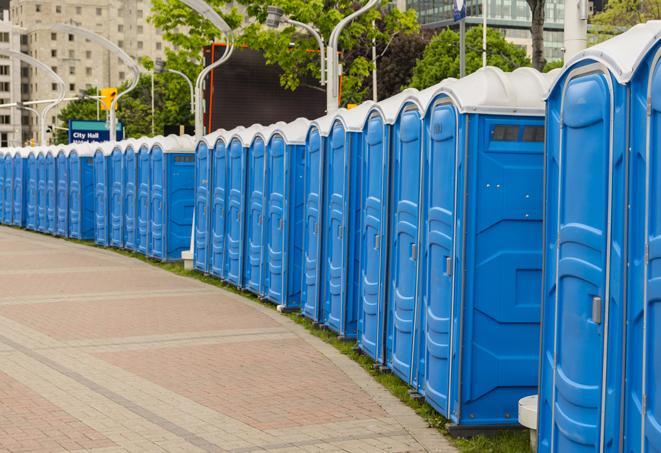 Seasonal porta potty units set up at a Faribault, Minnesota venue